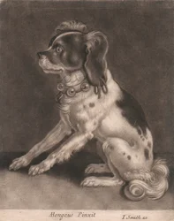 Un perro con collar
