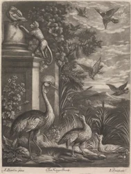 Los Reyes Pájaros