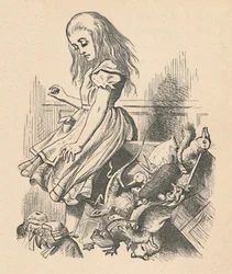 Alicia y los animales. Caos y la corte