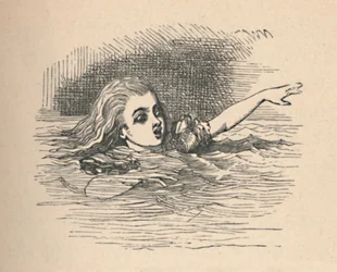 Alicia en un mar de lágrimas, 1889