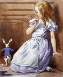 Imagen desconocida