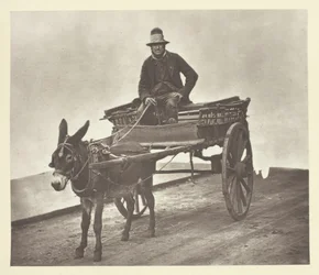 Black Jack, 1881