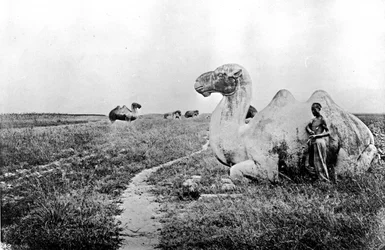 China, camellos tallados del Camino Imperial, c.1870 (foto)