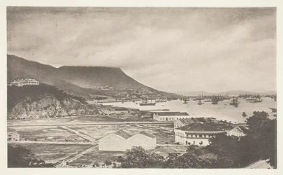 Ciudad Victoria, Hong-Kong