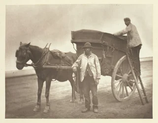 Basureros voladores, 1881