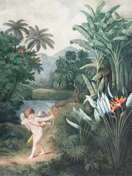 «Cupido inspirando a las plantas con amor», del «Templo de Flora» (1807), de Robert John Thornton