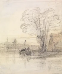 Árboles que sobresalen de un río
