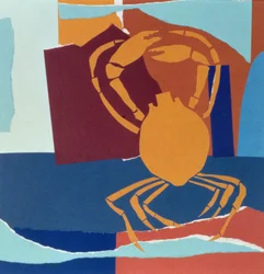 Cangrejo Araña