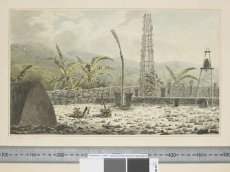 F.17 Un Morai, en Atooi, c.1773-84