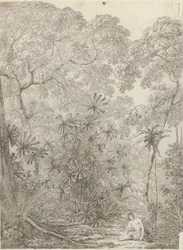El palmito de Cracatoa