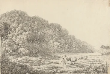 Vista en la isla de Pulo Condore
