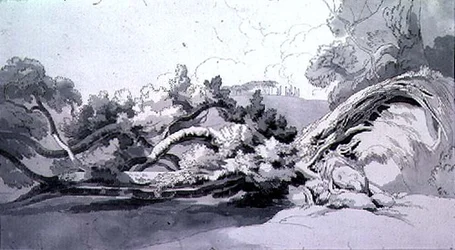 Paisaje, con árbol desarraigado