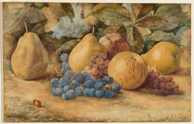 Naturaleza Muerta de Frutas: Manzanas, Peras y Uvas en el Suelo