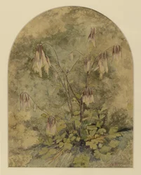 Flores silvestres