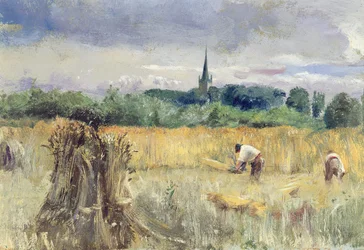 Campo de cosecha, Stratford-upon-Avon