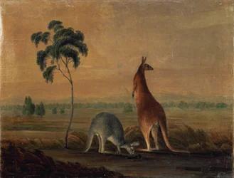 Canguros en un paisaje, c.1819