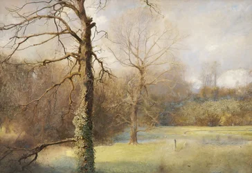Primavera