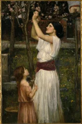 Recogiendo flores de almendro