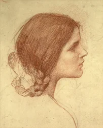 Cabeza de una niña, c.1905