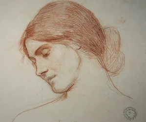 Cabeza de una niña, a la izquierda
