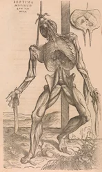De humani corporis fabrica De la estructura del cuerpo humano