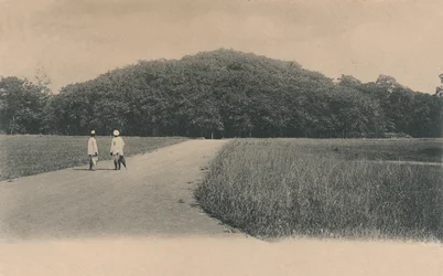 El árbol de Bunyan, Jardines Botánicos. Calcuta, 1906