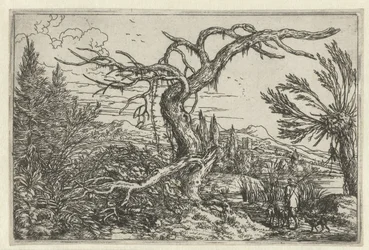 Paisaje con el árbol seco