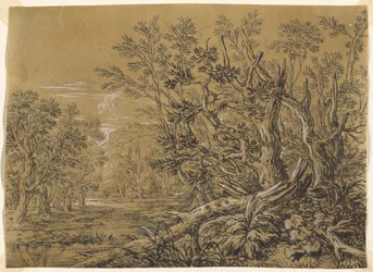 Riachuelo a Través de un Bosque Antiguo