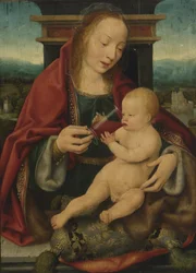 Holandés: Maria met wijndrinkend kind Virgen y niño / Virgin and winedrinking child