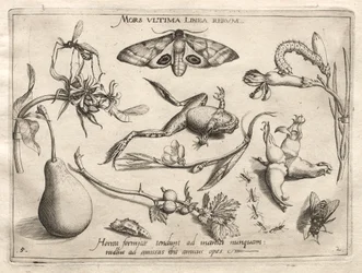 Arquetipos y estudios: La muerte es la línea que marca el final de todo Parte II, placa 5, 1592