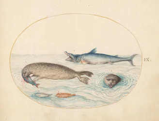 Criaturas marinas, c.1575-80