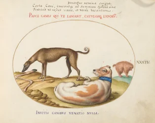 Placa 34: Tres Perros, Incluyendo un "Mimick"