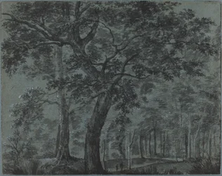 Bosques de noche con viajeros