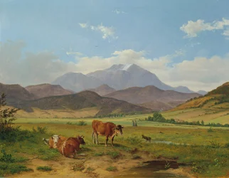 paisaje con montaña nevada