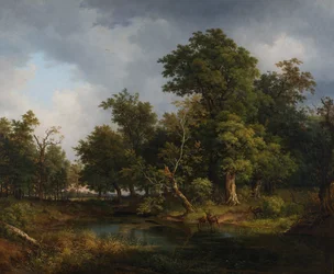 paisaje forestal