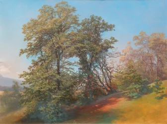 Grupo de árboles en el Mönchsberg en Salzburgo