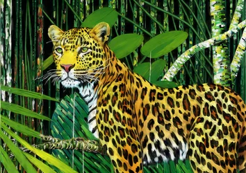 Animales: Leopardo 1