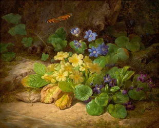 Pequeño trozo de flores (flores alpinas)