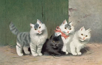 Postal felina (litografía en color)