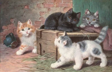 Postal felina (litografía en color)