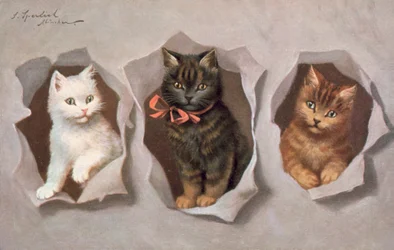 Postal felina (litografía en color)