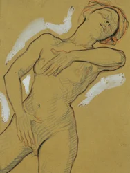 Desnudo de muchacha