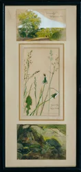 estudios de la naturaleza