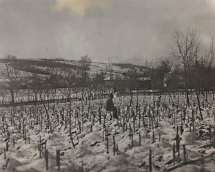 Cementerio militar (foto en b/n)