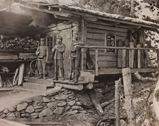 Álbum 