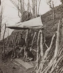 Álbum "Meine weltkriegs - Erinnerungen South-West Front (Carintia, Italia, Tirol del Sur) 31/03/1915-12/11/1918 - Josef Zohles Wien": perro militar bajo una tienda