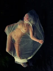 Vuelo