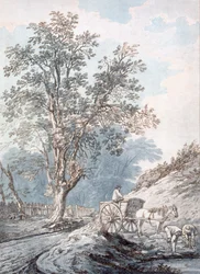 Carro y Caballo