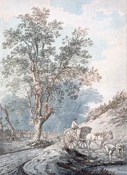 Carro y caballo