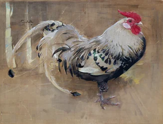 El gallo moteado